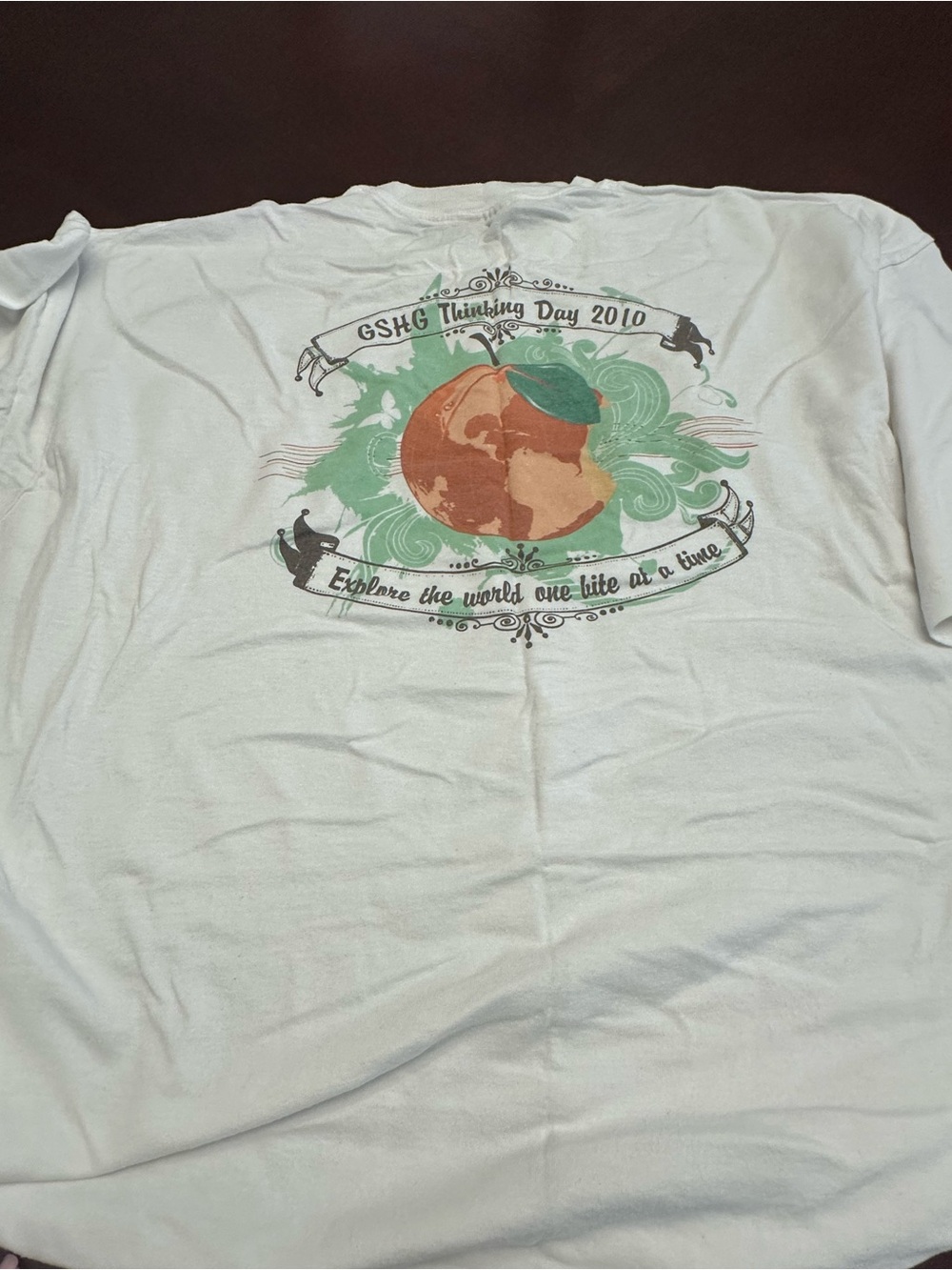 Vintage Girl Scouts GSHG Thinking Day 2010 Graphic T-Shirt